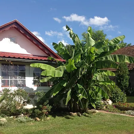 Jarmila Vendeghaz בית הארחה